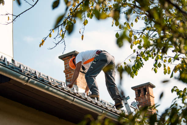 Best Residential Roofing Contractor  in Browns Lake, WI