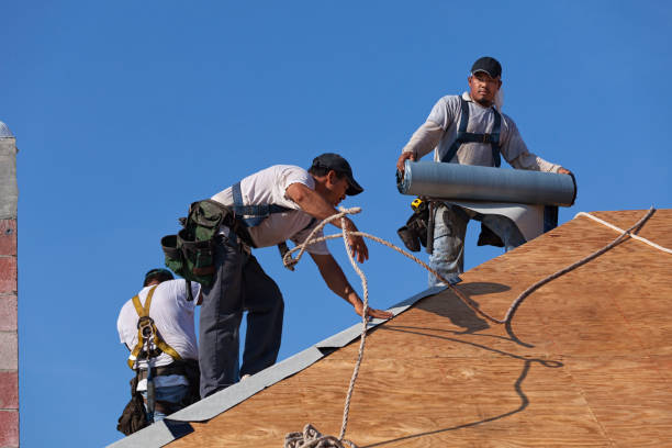 Best Roof Leak Repair  in Browns Lake, WI