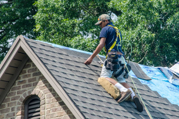 Best Roof Gutter Cleaning  in Browns Lake, WI